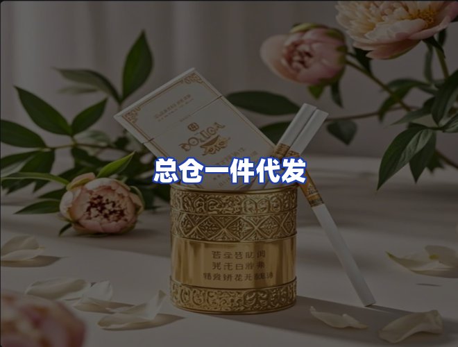 专业团队